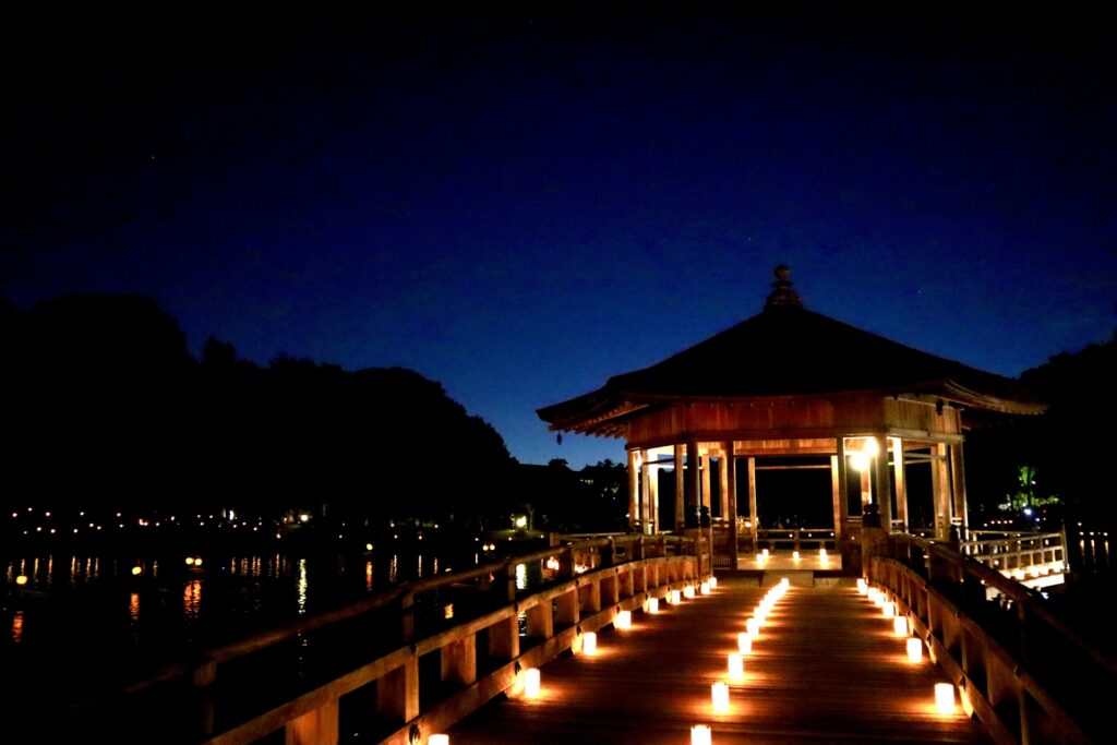 夏に行きたい奈良観光でおすすめのなら燈花会