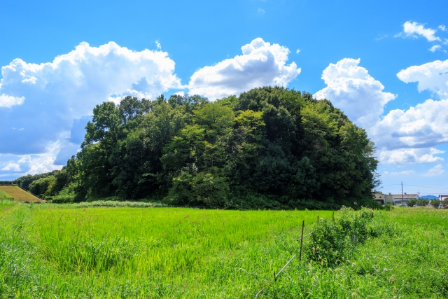 周辺の景色も素晴らしい崇神天皇陵