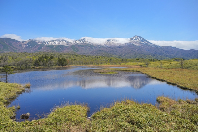 夏の道東観光で訪れたい「知床五湖」