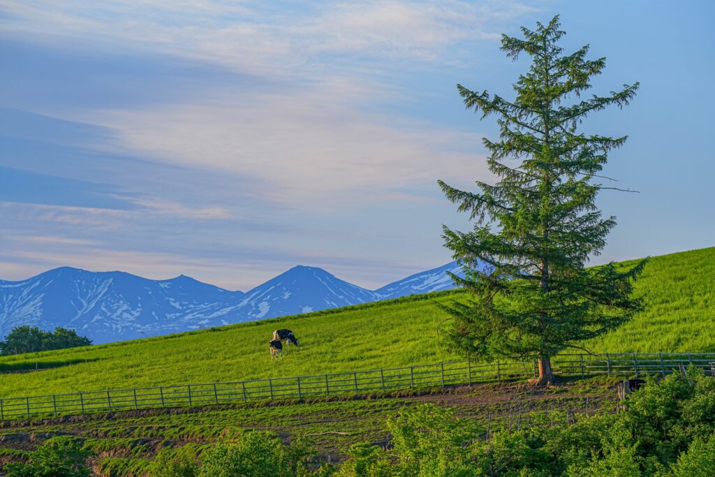 那須の雄大な自然