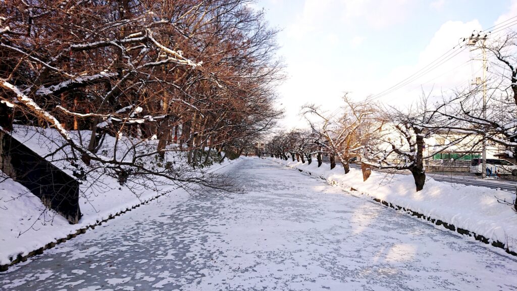 冬の弘前観光でおすすめのモデルコース1日目