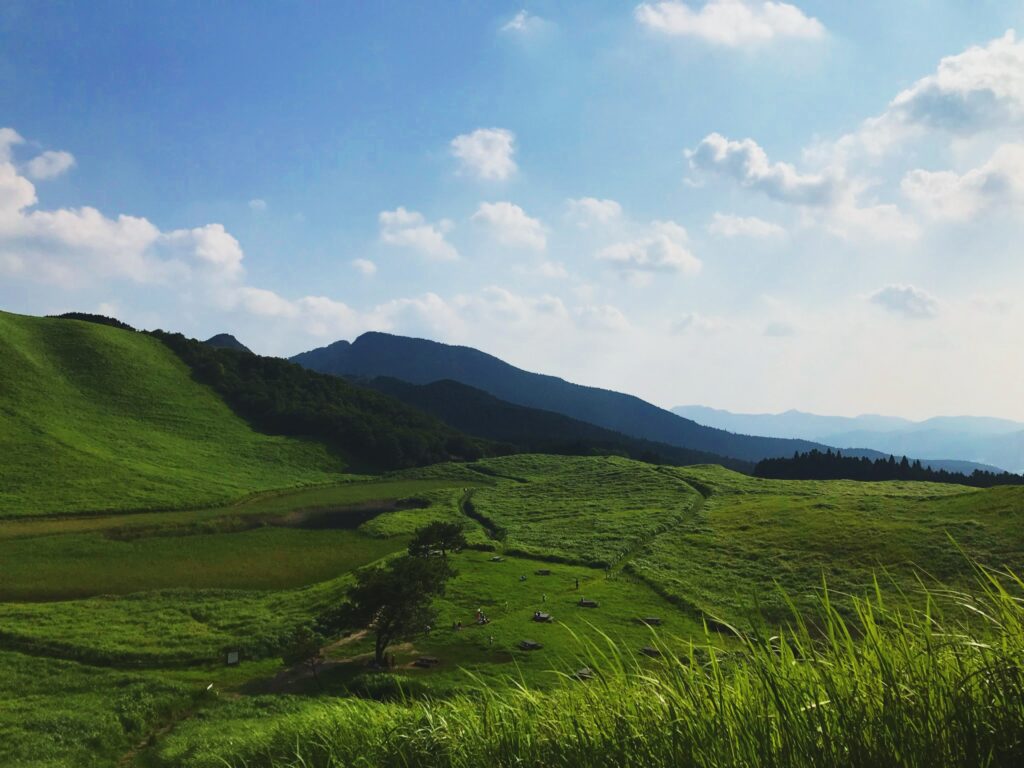 夏に行きたい奈良観光のおすすめアクティビティ