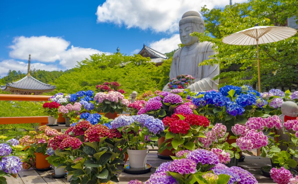 夏に行きたい奈良観光のおすすめスポットまとめ