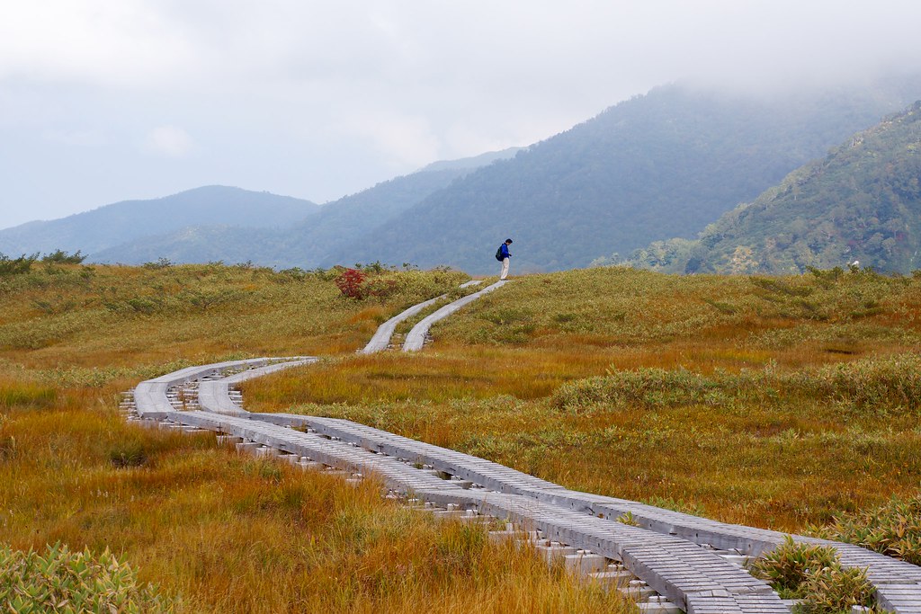 自船の中でリラックスできる弥陀ヶ原