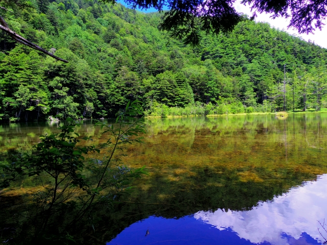 上高地の明神池は神秘的な雰囲気が漂う
