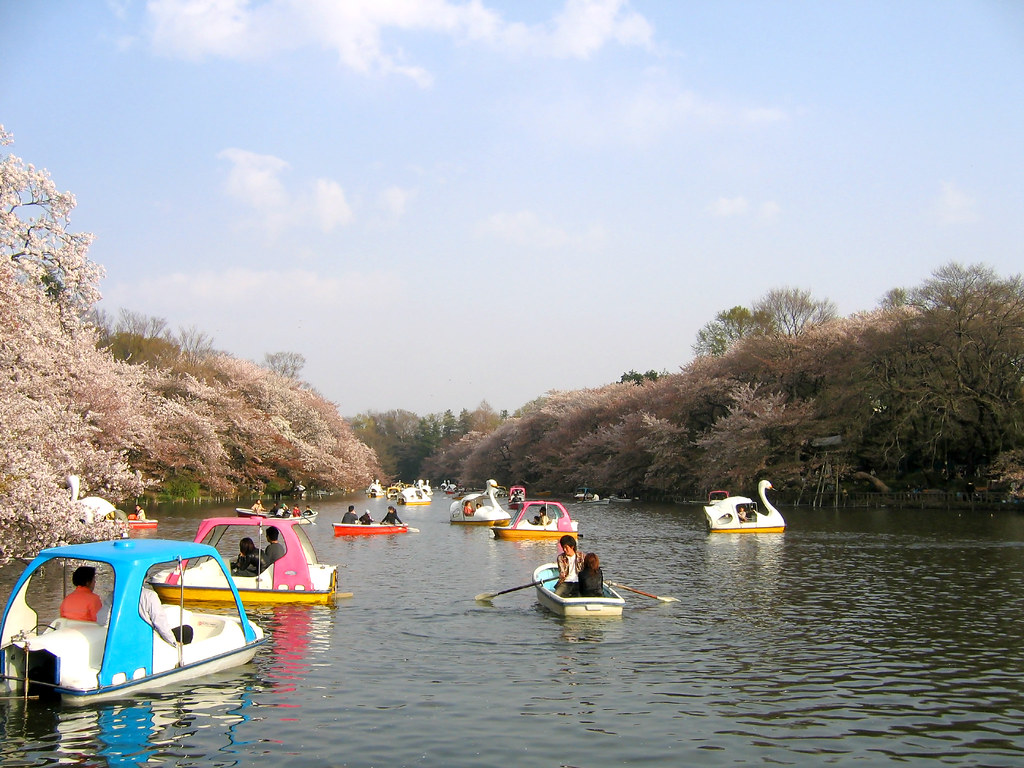 東京の隠れた観光スポット・井の頭恩賜公園