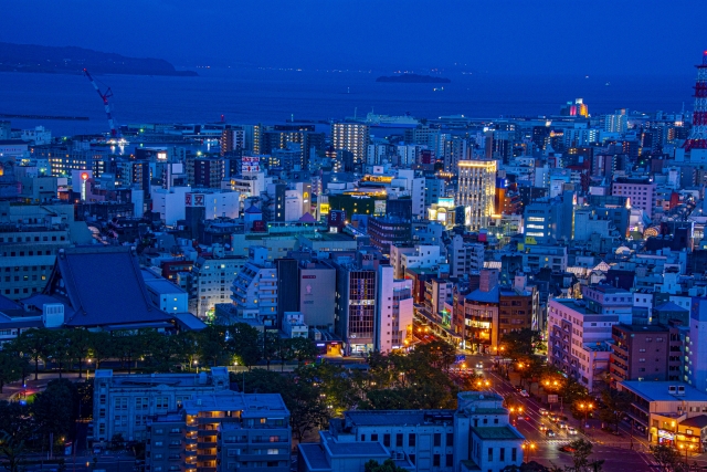 城山公園から見た夜の鹿児島市内