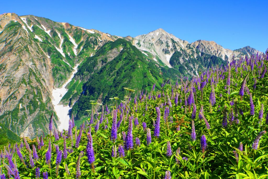 白馬の雄大な景色は絶景