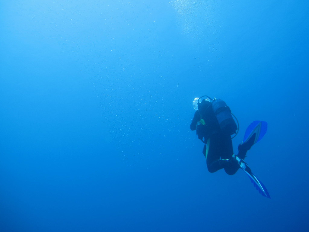 ダイビングをしているイメージ