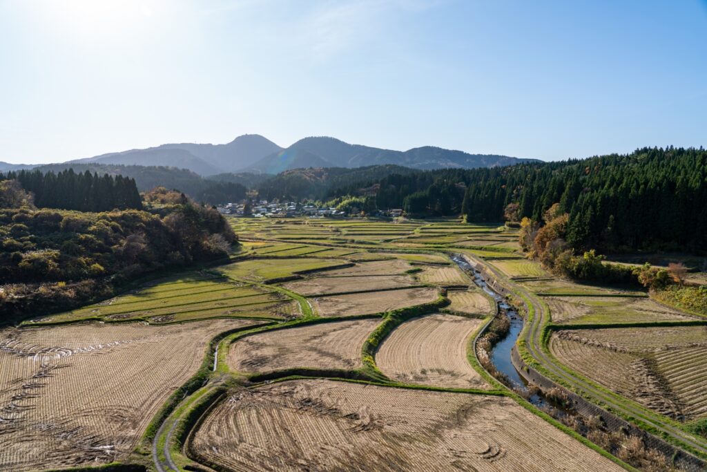 地元文化やアートが楽しめる秋田ふるさと村