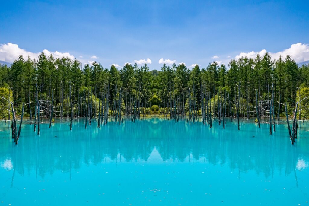 北海道美瑛の不思議な青い池