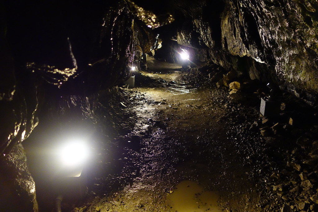 日原鍾乳洞の中で東京の自然を満喫する