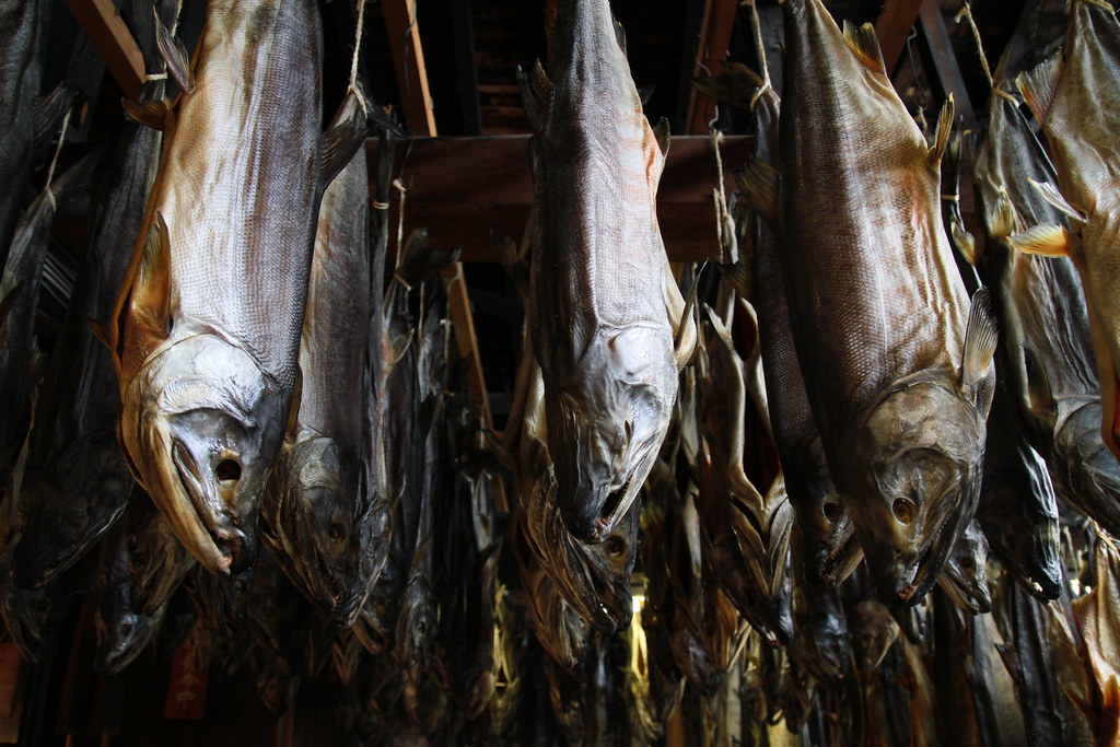 吊るして乾燥させている鮭