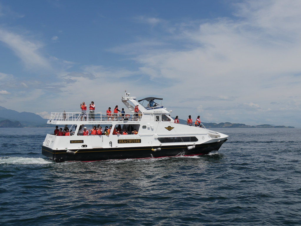 ８月の熊本観光にオススメ・天草のイルカウォッチング