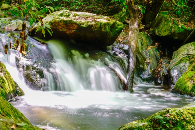 福岡の涼しい観光スポット・野河内渓谷