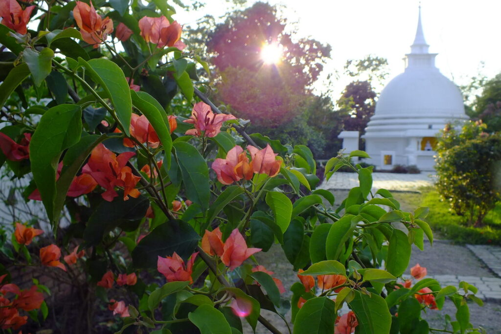 スリランカ観光