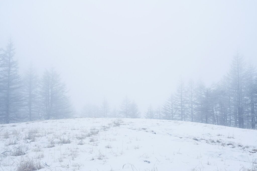 北越雪譜のイメージ