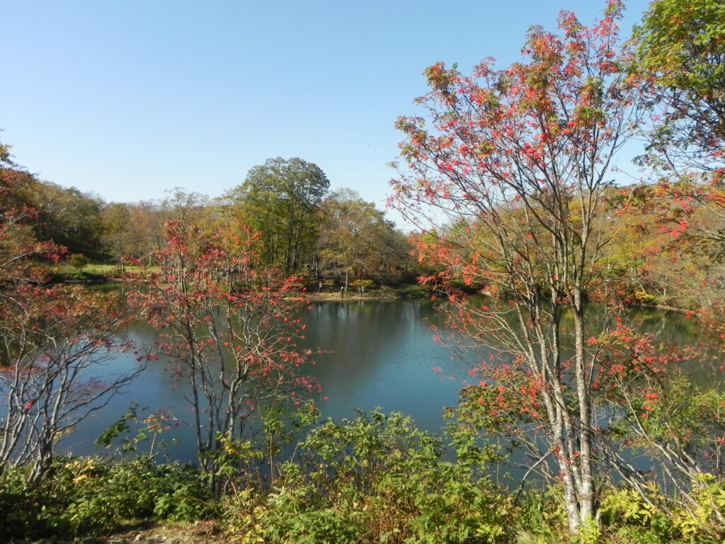 エメラルドグリーンに輝くドッコ沼