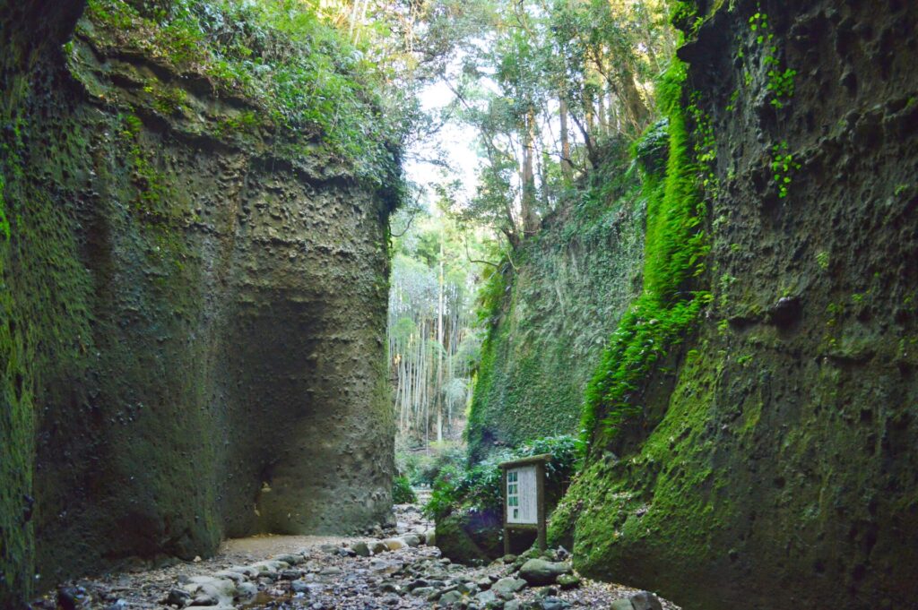 NHKの連続テレビ小説「らんまん」の撮影地にもなった伊尾木洞