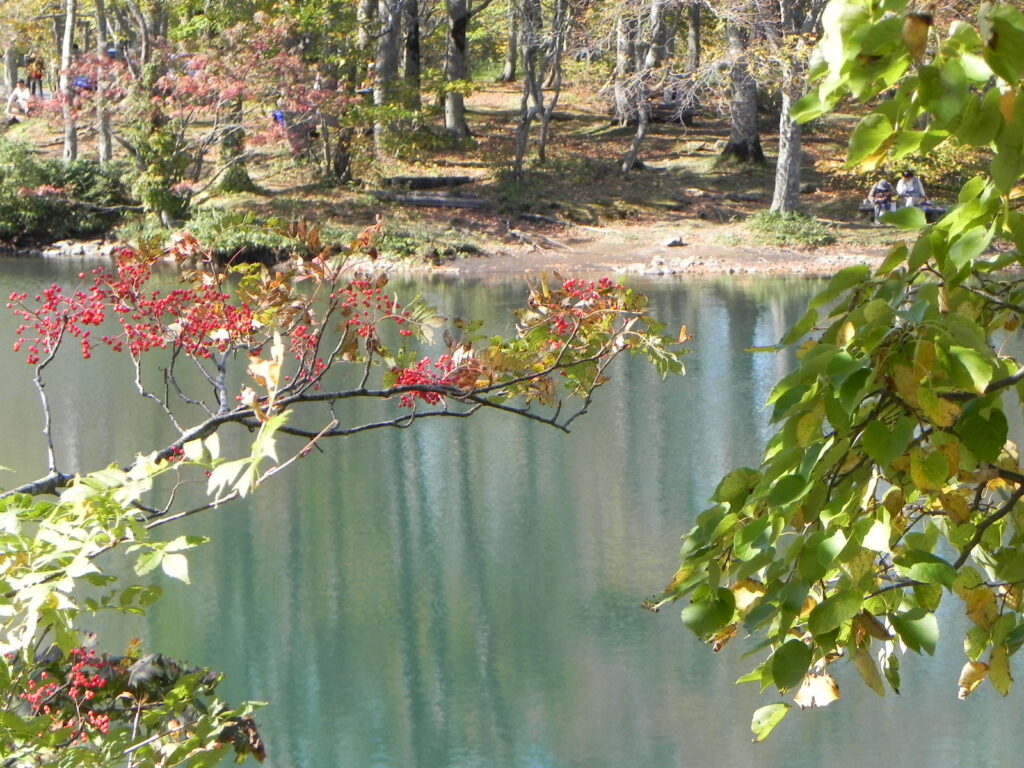 ドッコ沼の自然でリフレッシュ