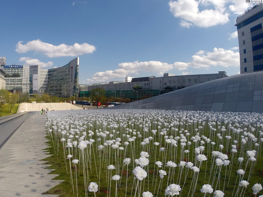 東大門にある観光スポット・東大門歴史文化公園