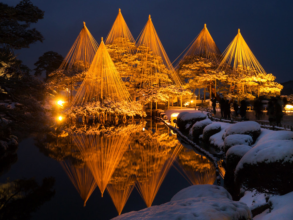 ライトアップされた六園の美しい庭園