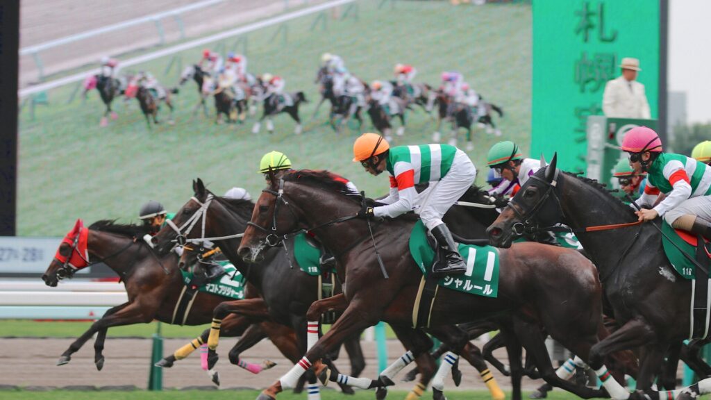 夏の間に多くのレースが開催される札幌競馬場