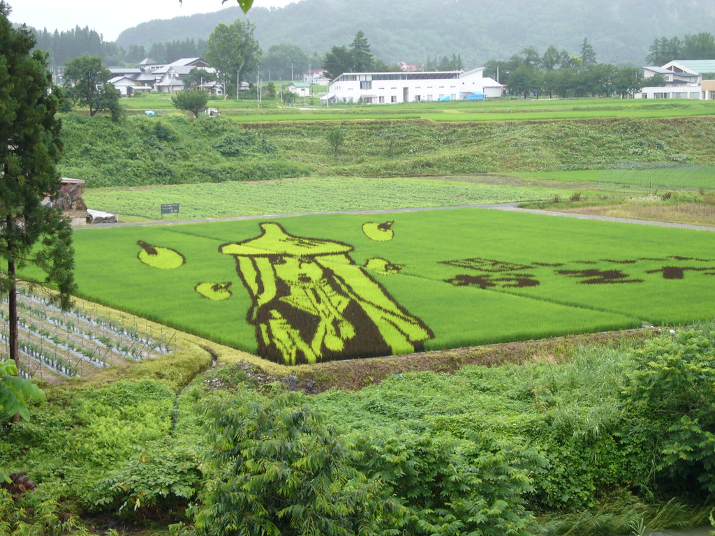 小野川温泉の田んぼ