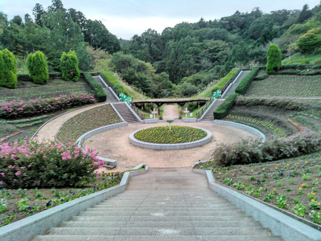 いわき公園で幻想的な光景を楽しむ