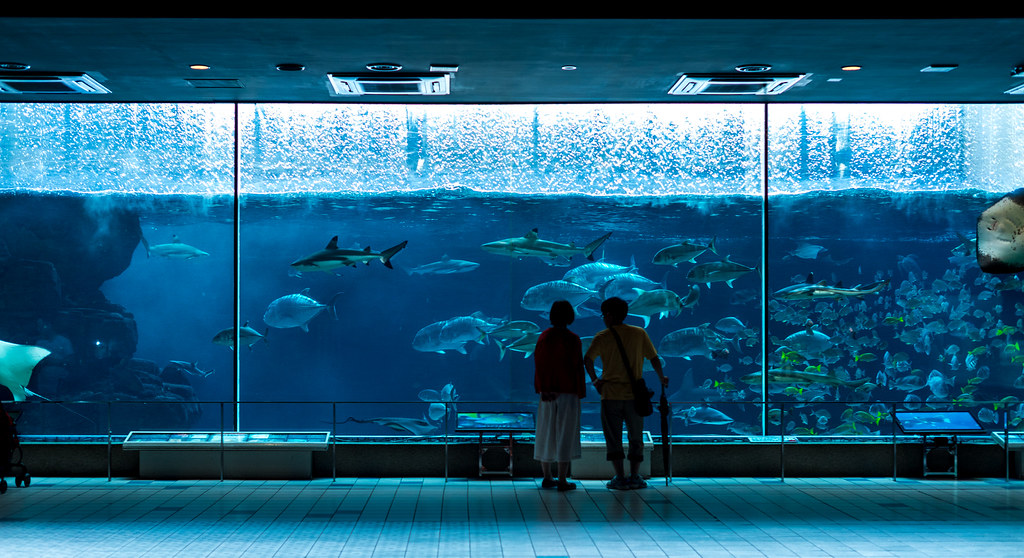 須磨の魅力をたっぷりと楽しむモデルコース