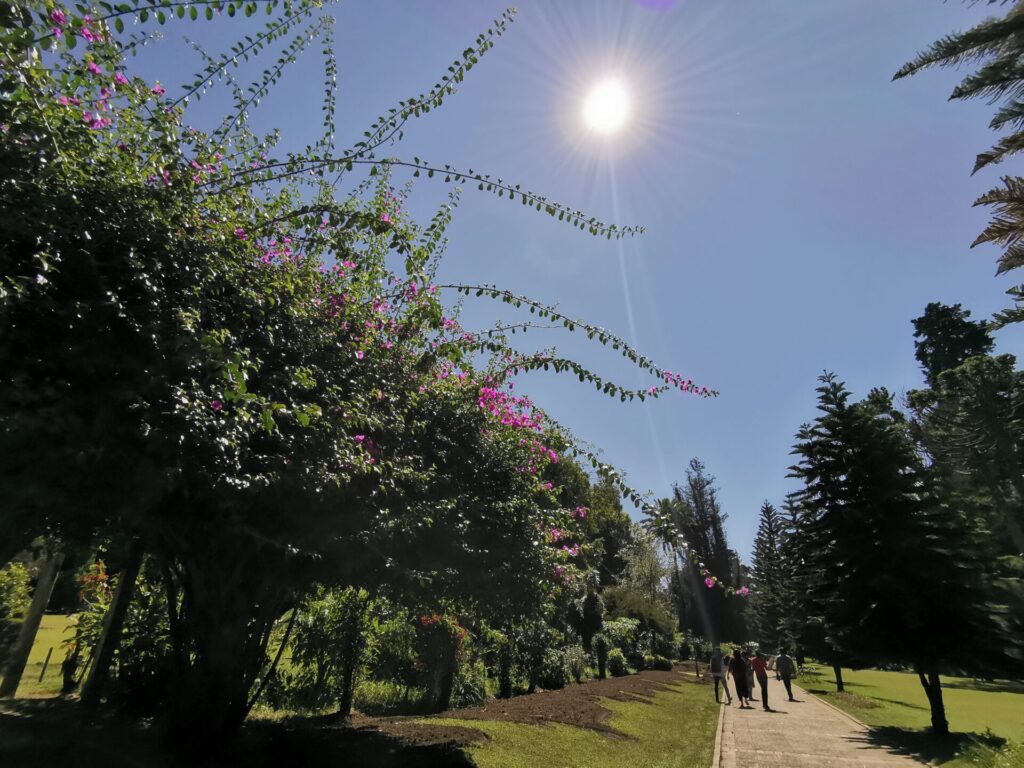 スリランカ ビクトリア公園