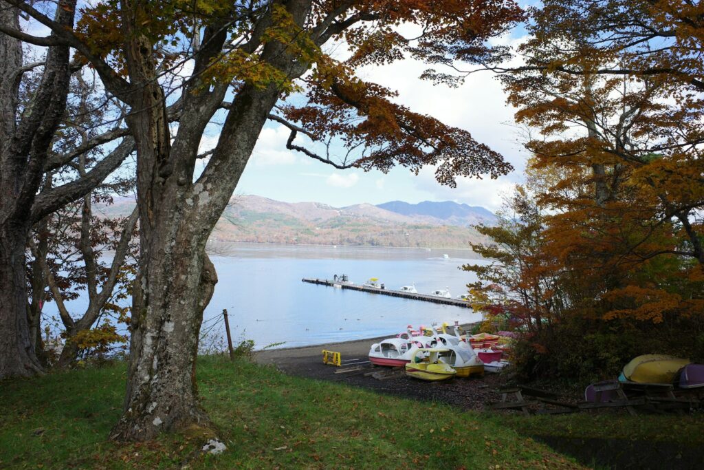 車で山梨観光するなら山中湖