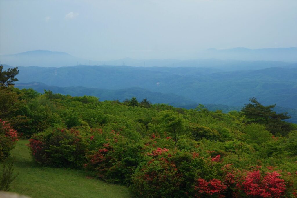 自然と触れ合いながらリフレッシュ