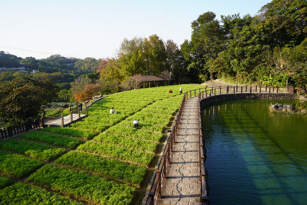 2回目の台北観光で訪れたい猫空