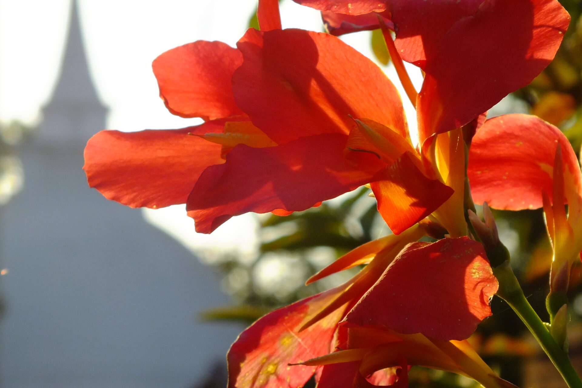 スリランカ観光4日間モデルコース