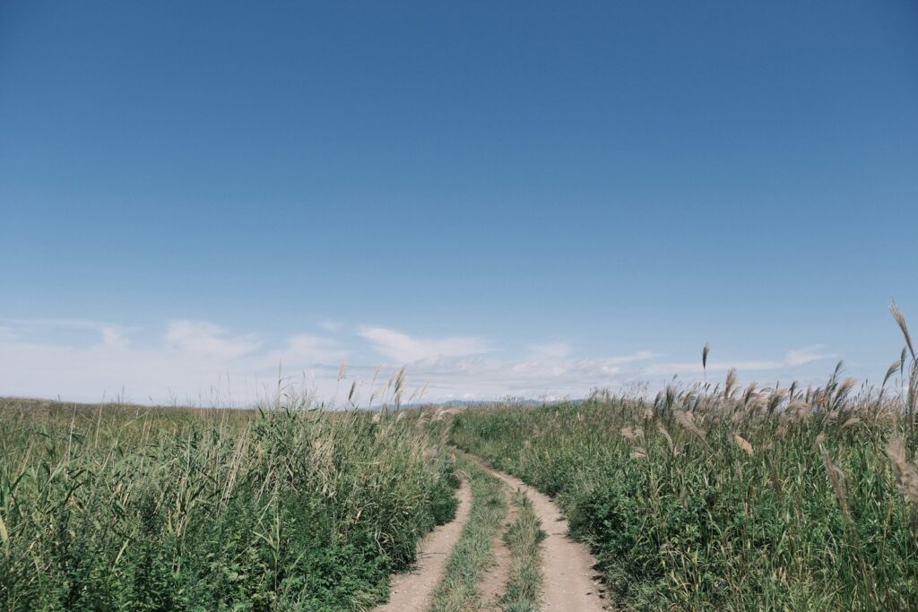 釧路の夏の魅力を存分に満喫