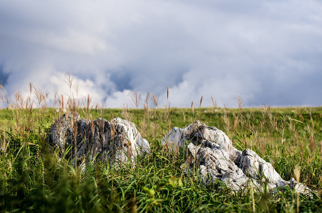 爽快なドライブが楽しめる高知県との県境に位置する四国カルスト