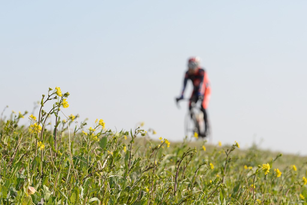 サイクリングをしている人
