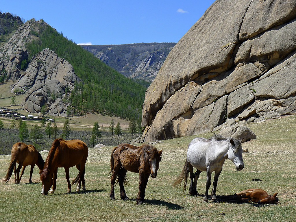 テレルジ国立公園