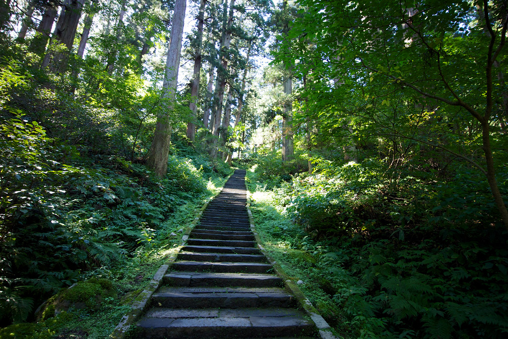 山形県を8月に観光するなら行きたい、五重塔がある羽黒山