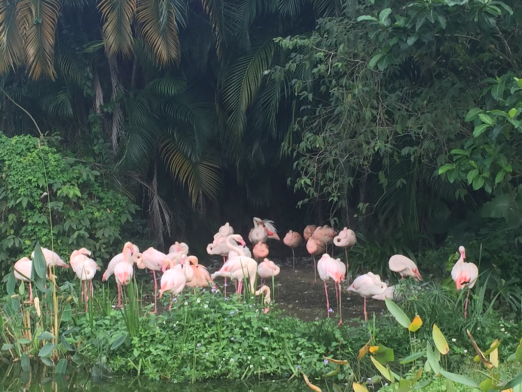 台北市立動物園は、台北市内からアクセス抜群