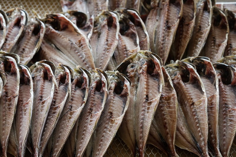 対策KW「くさやの原料の一つのアジ」