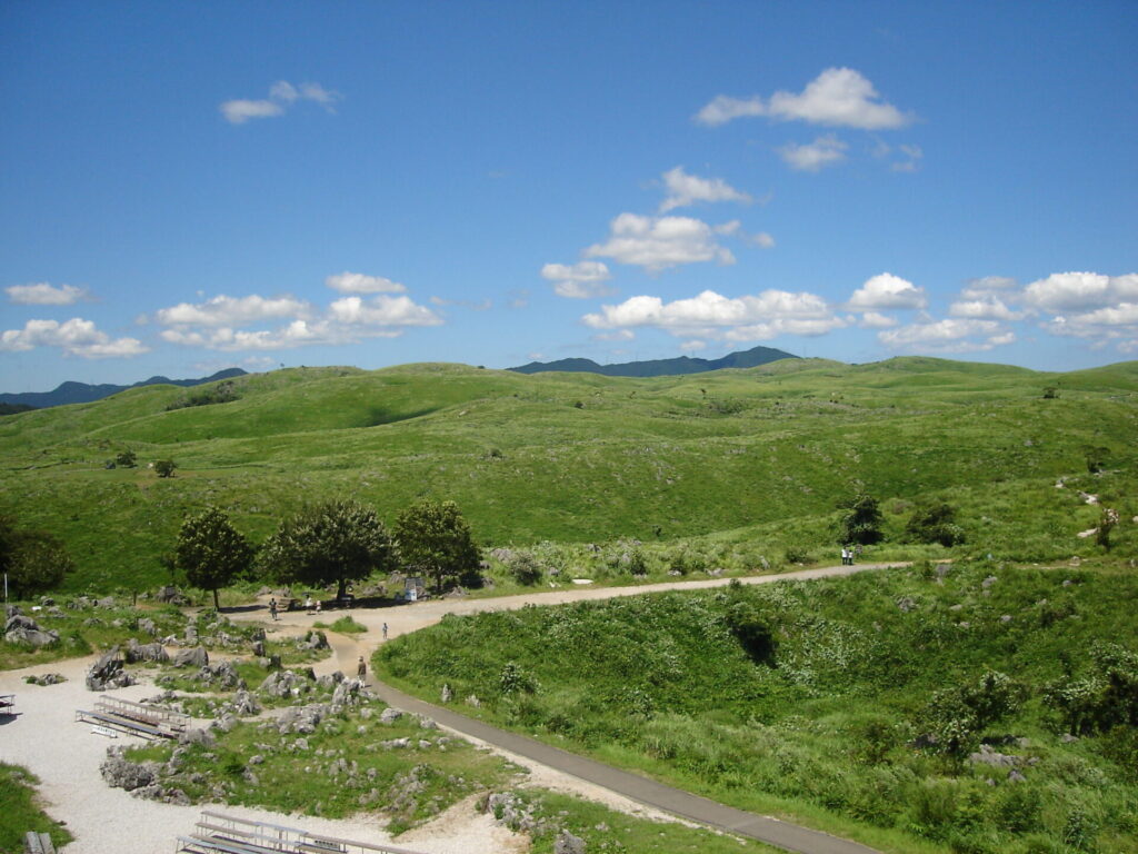 山口県の代表的観光名所秋吉台は、世界的なカルスト大地