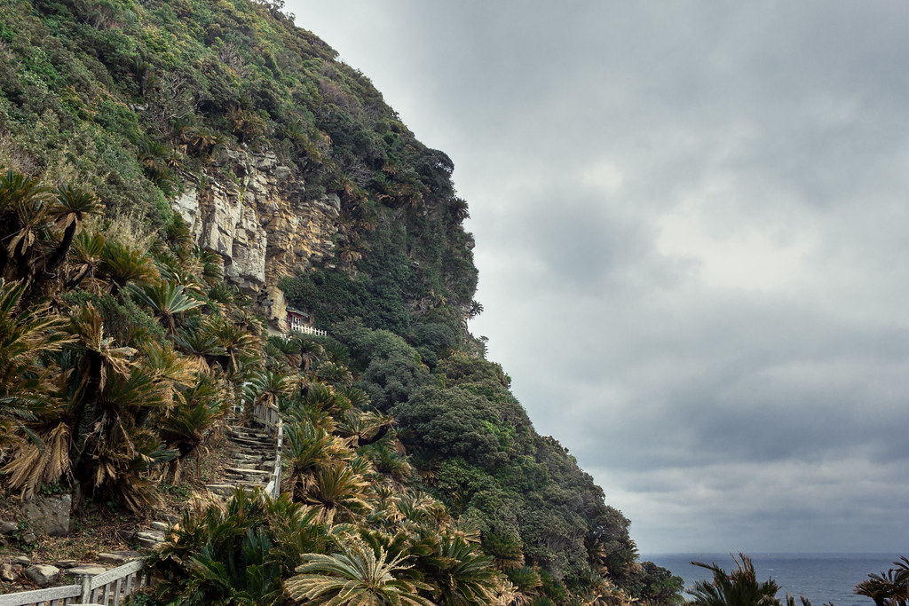 ソテツ自生地に佇む御崎神社