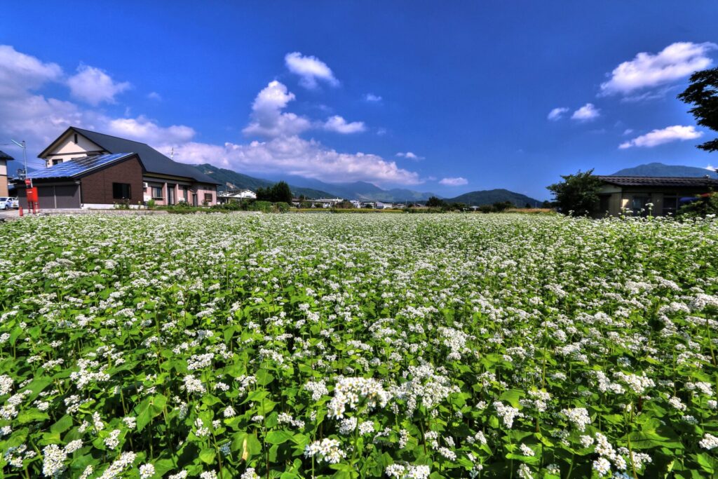 長野県おすすめ観光スポット