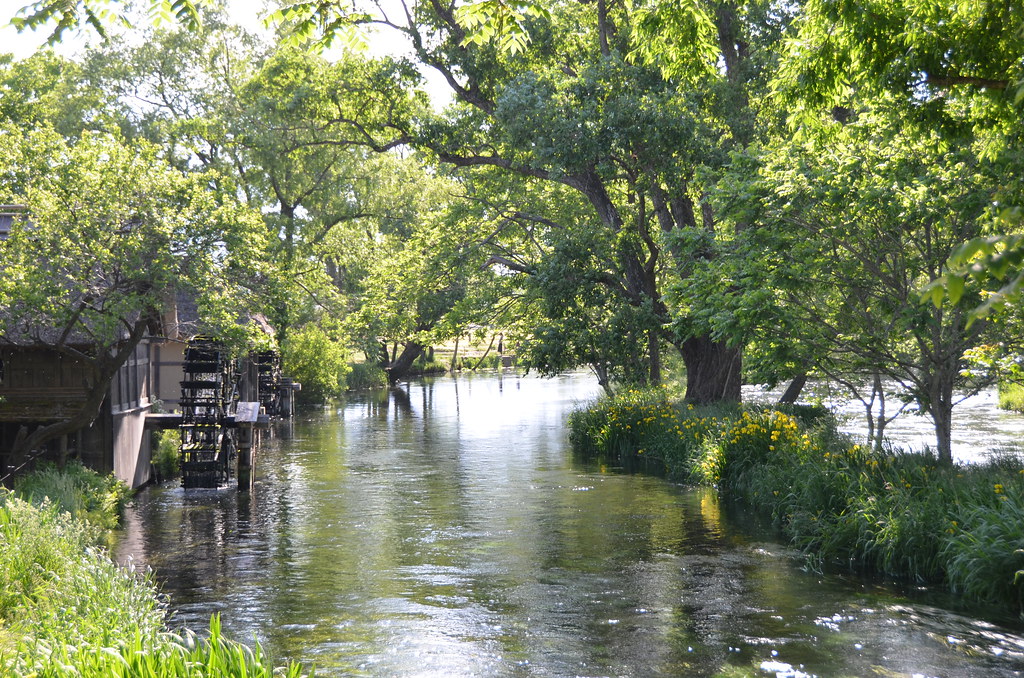 長野県安曇野市に位置する日本最大級のわさび農場「大王わさび農場」