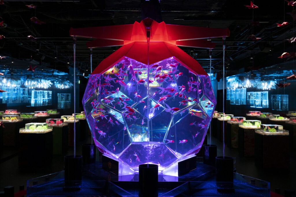 アートアクアリウム美術館 GINZAで楽しむアート