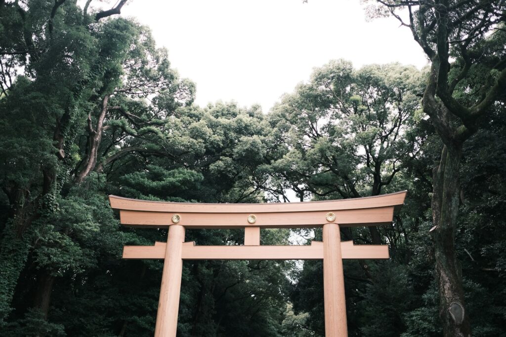 東京観光で訪れたい明治神宮