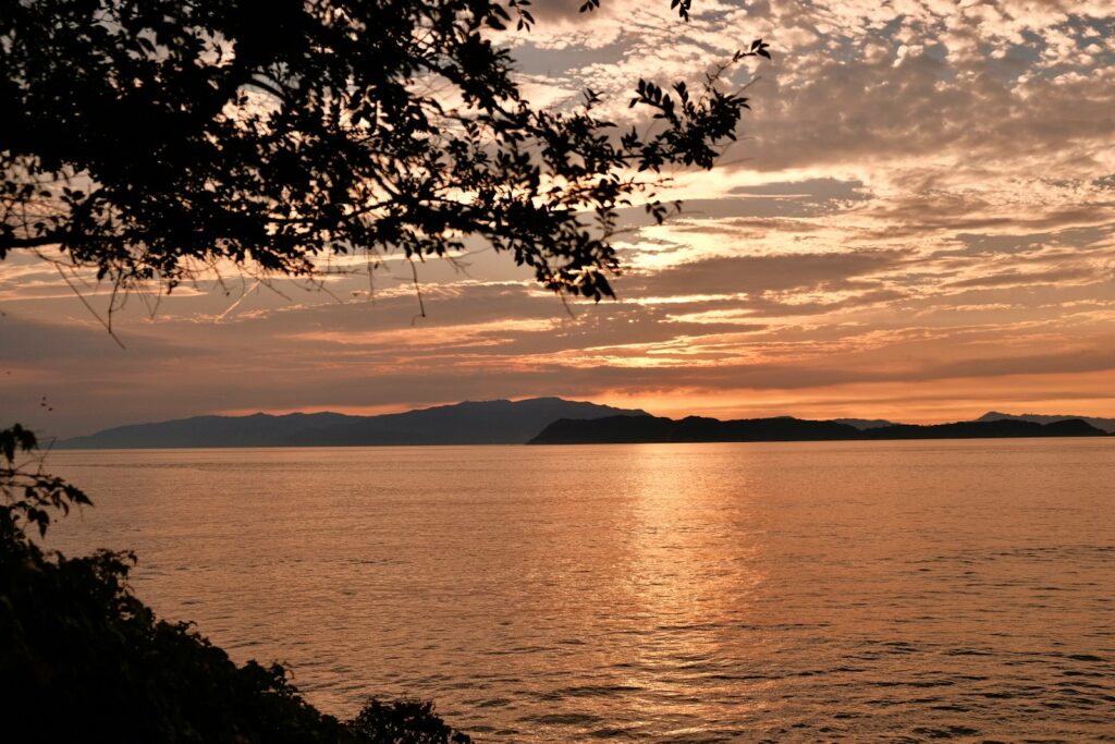 秋の和歌山観光で見たい景色