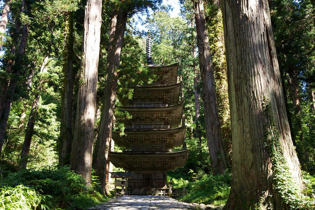 山形県を8月に観光するなら羽黒山の山中にある五重塔